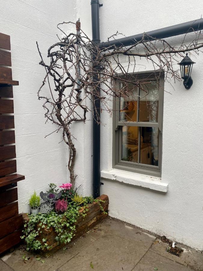Number 31 Boutique Townhouse Hotell Galway Exteriör bild